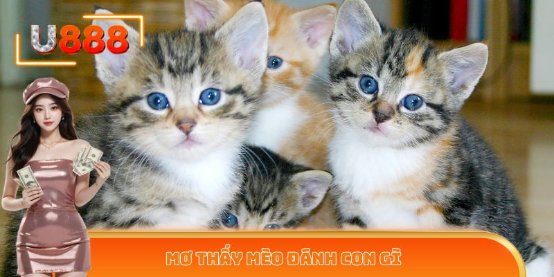 Mơ thấy mèo đánh con gì