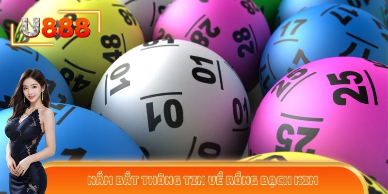 Nắm bắt thông tin rồng bạch kim