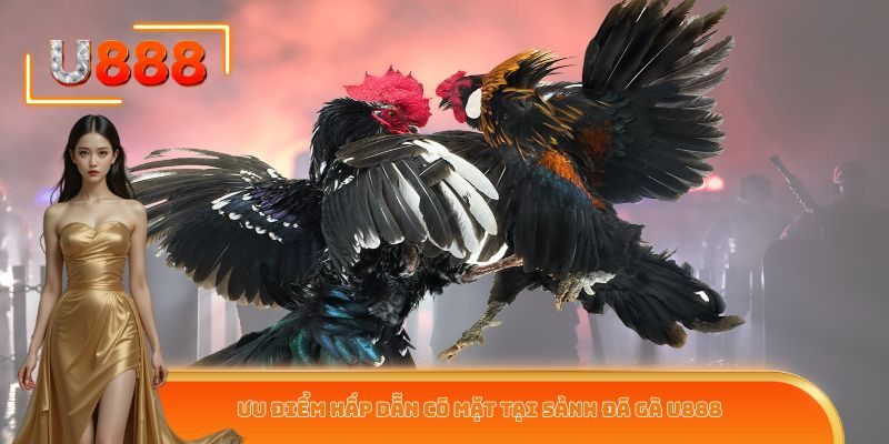 Ưu điểm hấp dẫn có mặt tại sảnh đá gà U888