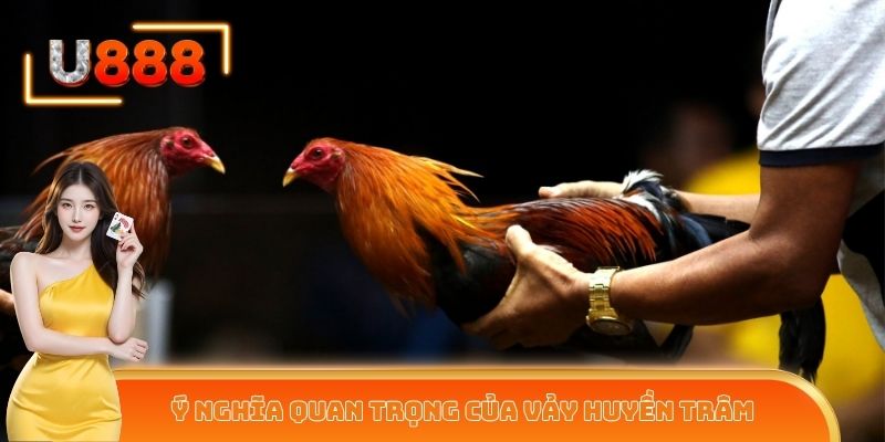 Ý nghĩa quan trọng của vảy gà huyền trâm